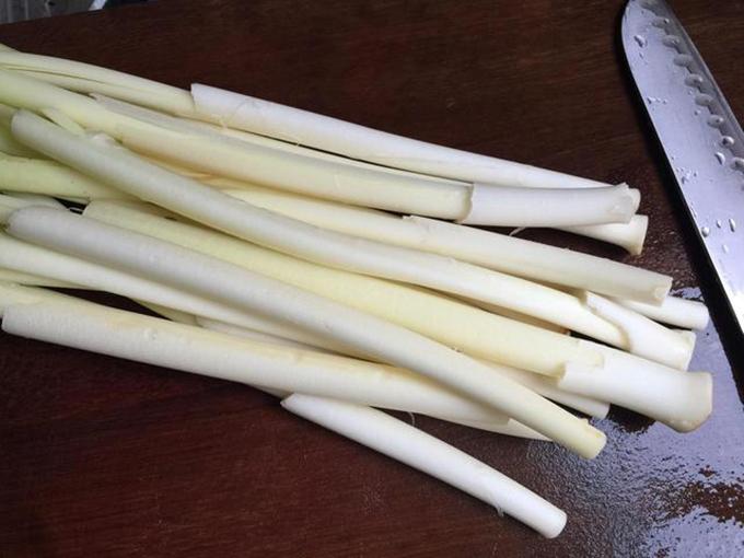 蒲菜是什么样子的植物（蒲菜为什么被誉为水中嫩笋呢）