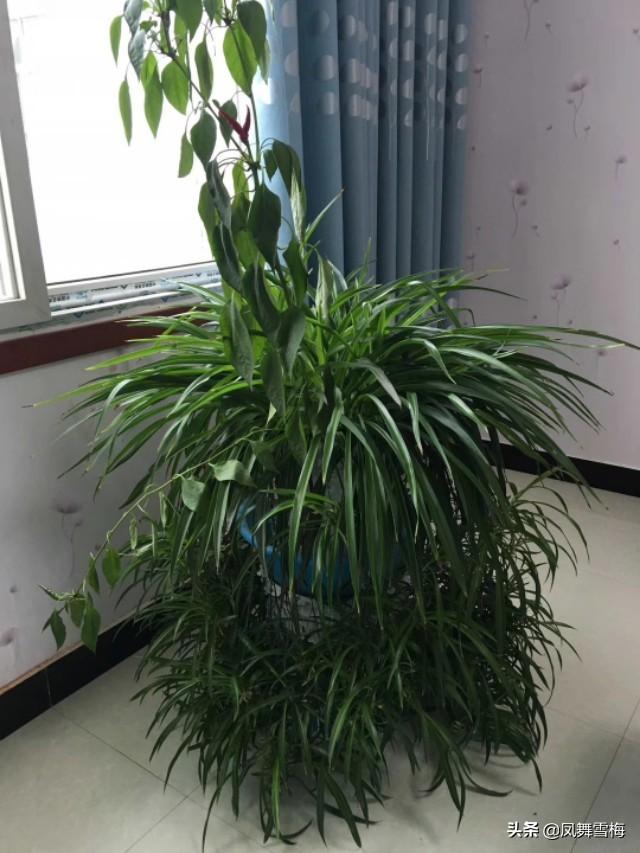 h2s是什么气体（HST的来源以及对人体的危害）