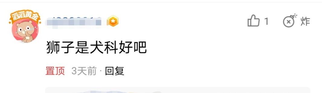 狮子是什么科动物（为什么许多人都认为狮子是犬科动物）