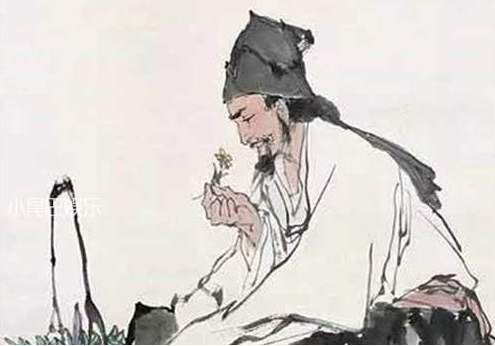 本草纲目记载了多少种药物（本草纲目主要记载了什么）