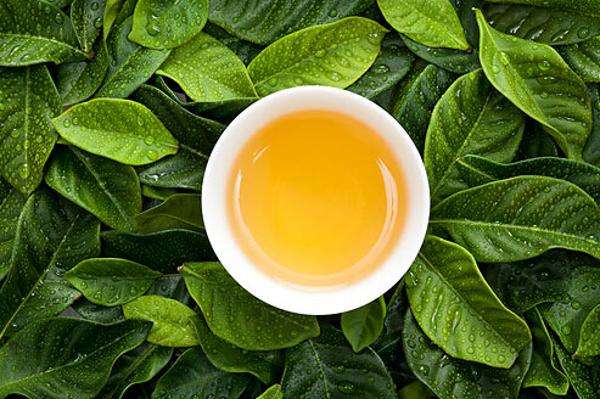 茶叶是碱性的吗（茶树为什么喜欢在酸性土壤中生长）