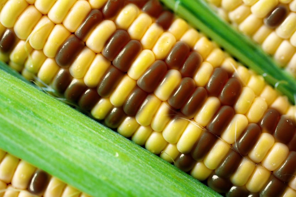 硼肥是什么肥料怎么施用（硼肥的作用一般都有哪些）