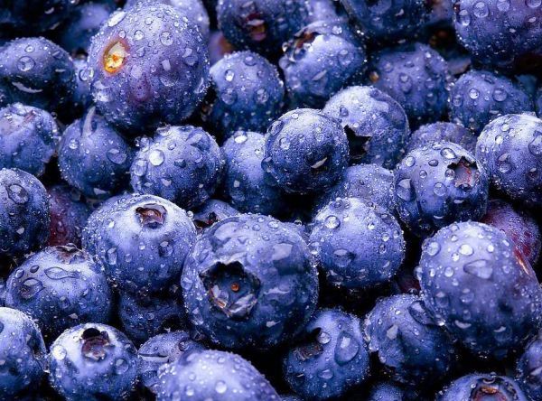 蓝莓需要放冰箱保鲜吗（保存蓝莓有哪些需要注意的）