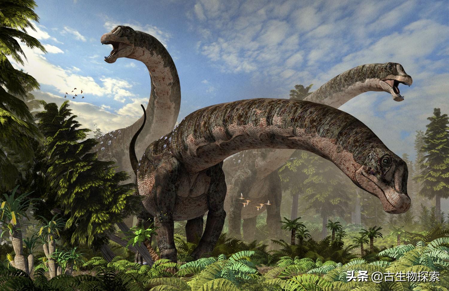 世界上最大的恐龙排名（巨型蜥脚类恐龙排行榜介绍）