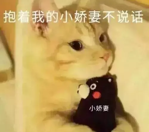 母猫发情的表现有哪些（猫咪几个月的时候绝育比较好）