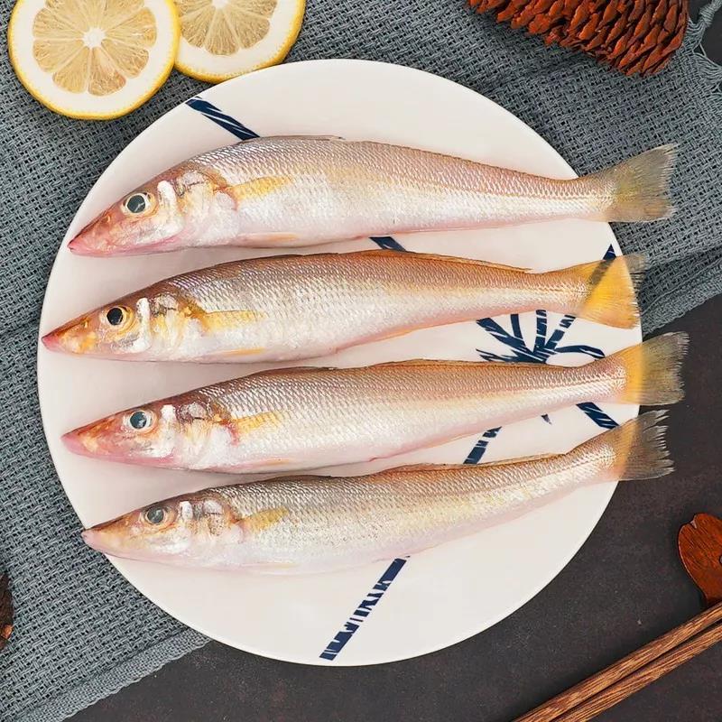 鳗鱼是海鱼还是淡水鱼（介绍鳗鱼的分布、生态习性及食用方法） ！-图3